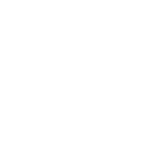 Badge 7years