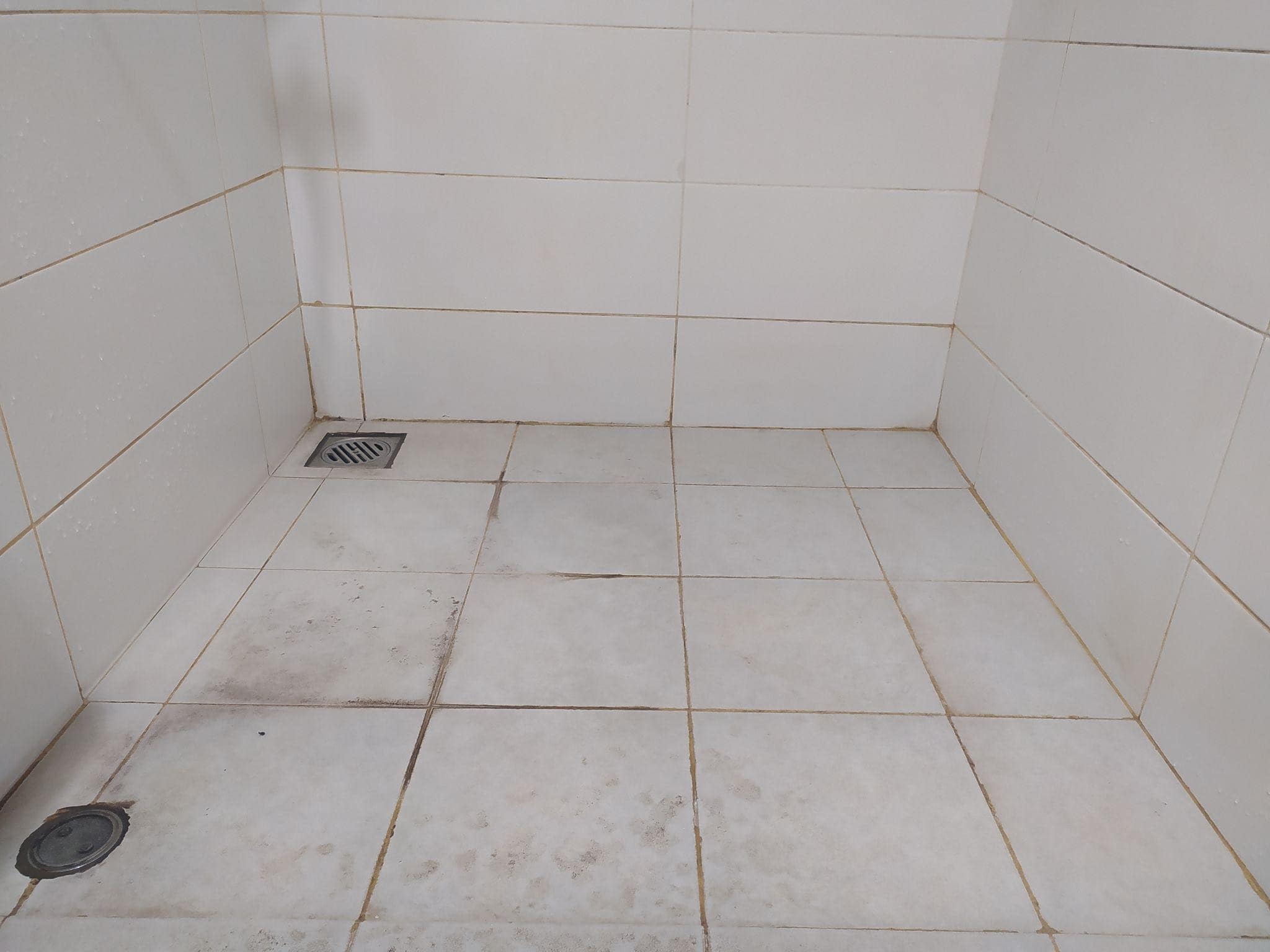 Signs You Need Regrouting