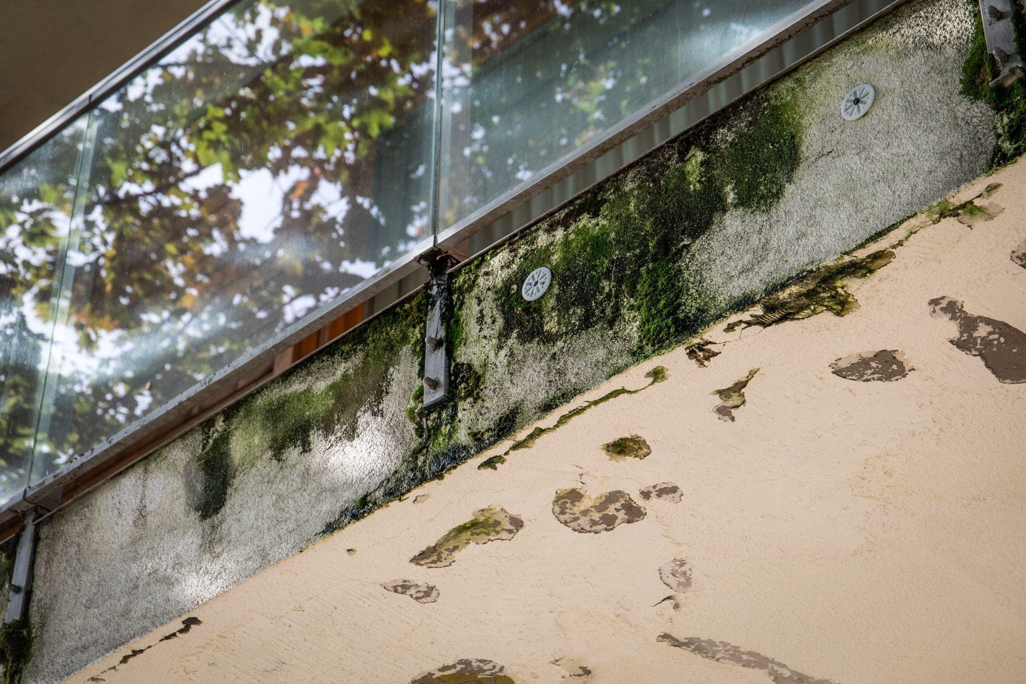 When Regrouting Is Enough And When Waterproofing Needs Replacing